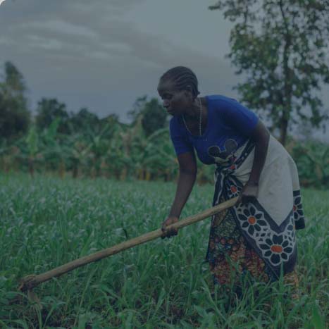 Aulelia jobbar med Vi-skogen