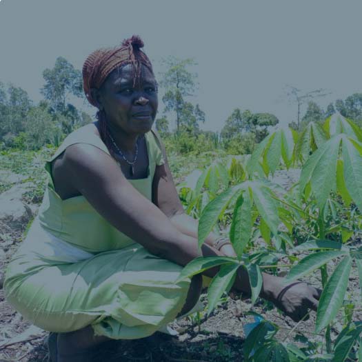 Monica jobbar med Vi-skogen