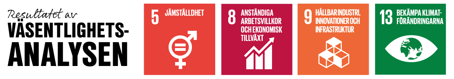 Resultatet av väsentlighetsanalysen
