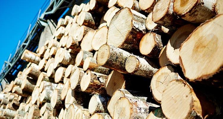 OEM Automatic SE Skogsbild 