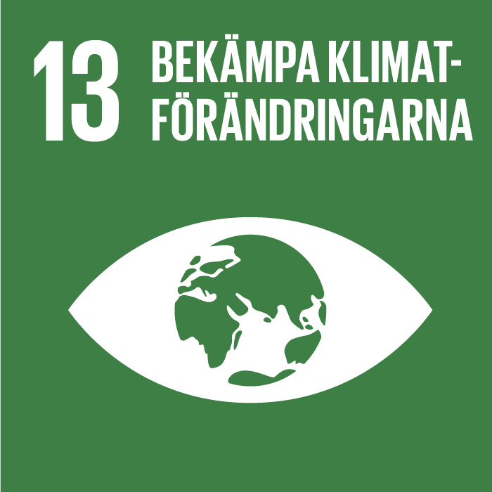 Globalt mål 13