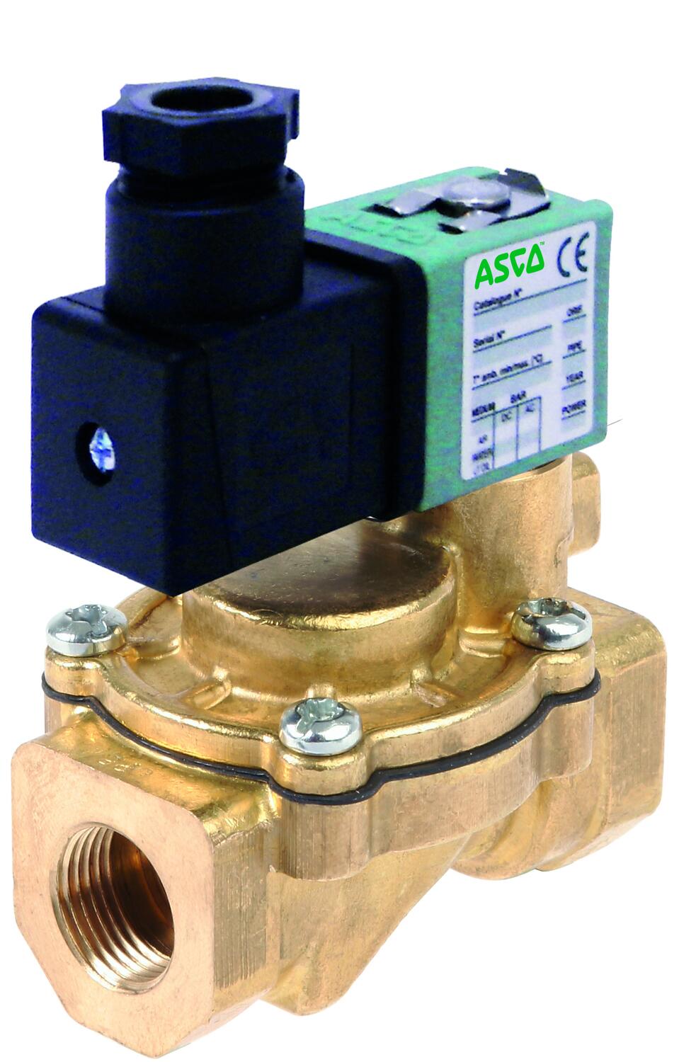 238_brass_00041P11Q (1).tif